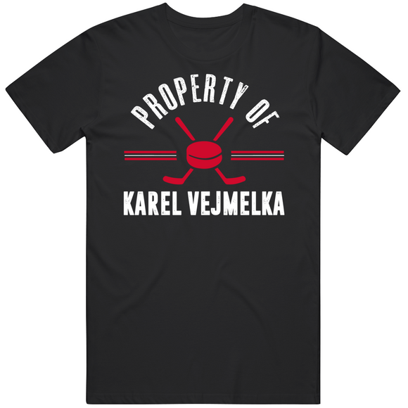 Karel Vejmelka Property Of Arizona Hockey Fan T Shirt